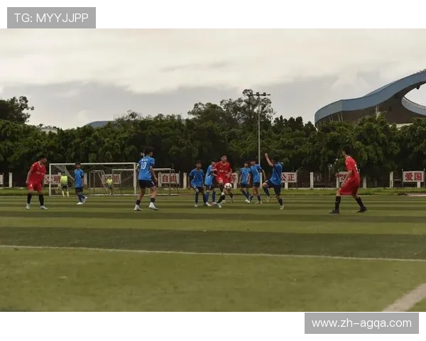 足球赛事中的经济效益与商业模式