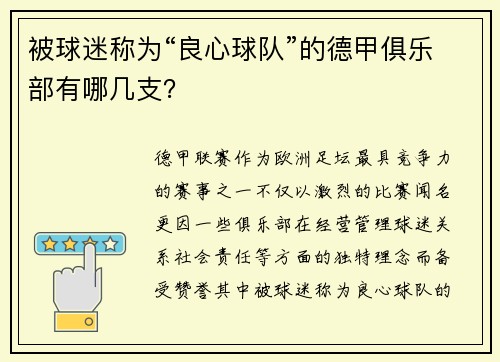 被球迷称为“良心球队”的德甲俱乐部有哪几支？
